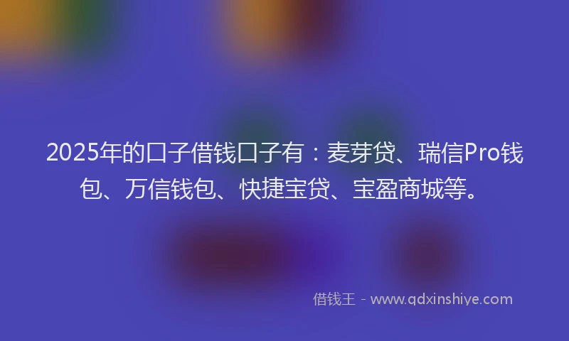 2025年的口子借钱口子有：麦芽贷、瑞信Pro钱包、万信钱包、快捷宝贷、宝盈商城等。