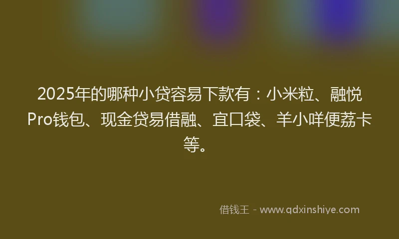 2025年的哪种小贷容易下款有：小米粒、融悦Pro钱包、现金贷易借融、宜口袋、羊小咩便荔卡等。