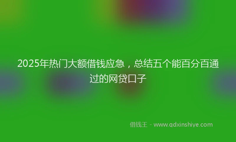 2025年热门大额借钱应急，总结五个能百分百通过的网贷口子