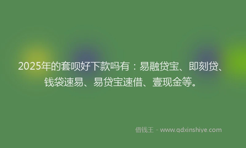 2025年的套呗好下款吗有：易融贷宝、即刻贷、钱袋速易、易贷宝速借、壹现金等。