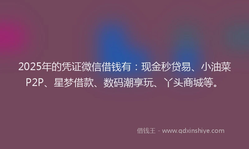 2025年的凭证微信借钱有：现金秒贷易、小油菜P2P、星梦借款、数码潮享玩、丫头商城等。