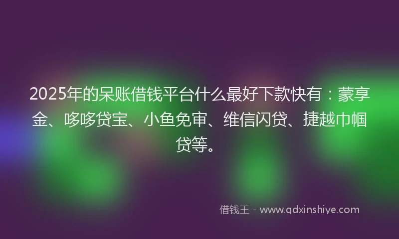 2025年的呆账借钱平台什么最好下款快有：蒙享金、哆哆贷宝、小鱼免审、维信闪贷、捷越巾帼贷等。