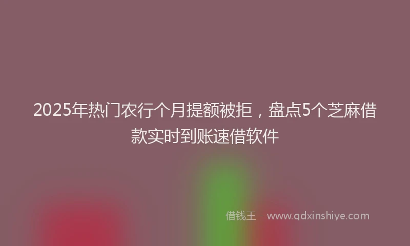 2025年热门农行个月提额被拒，盘点5个芝麻借款实时到账速借软件