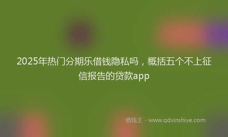2025年热门分期乐借钱隐私吗，概括五个不上征信报告的贷款app
