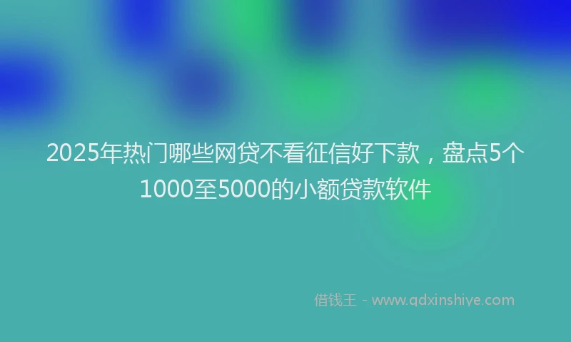 2025年热门哪些网贷不看征信好下款，盘点5个1000至5000的小额贷款软件