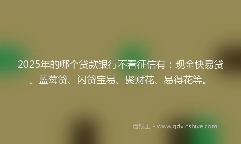 2025年的哪个贷款银行不看征信有：现金快易贷、蓝莓贷、闪贷宝易、聚财花、易得花等。