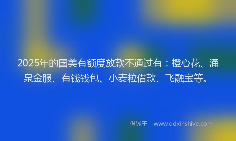 2025年的国美有额度放款不通过有：橙心花、涌泉金服、有钱钱包、小麦粒借款、飞融宝等。