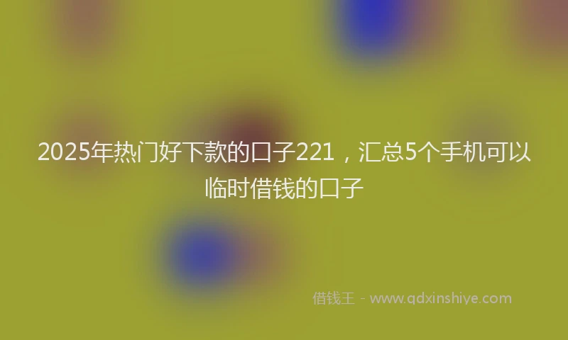 2025年热门好下款的口子221，汇总5个手机可以临时借钱的口子