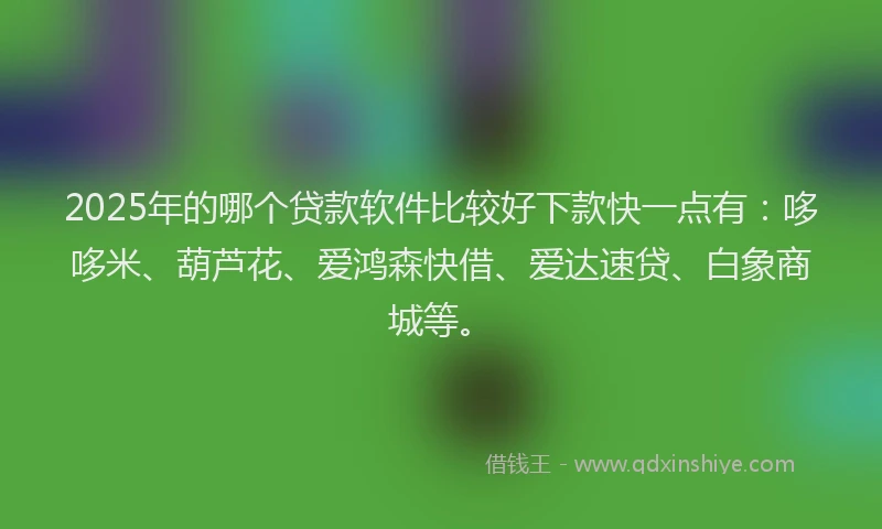 2025年的哪个贷款软件比较好下款快一点有：哆哆米、葫芦花、爱鸿森快借、爱达速贷、白象商城等。