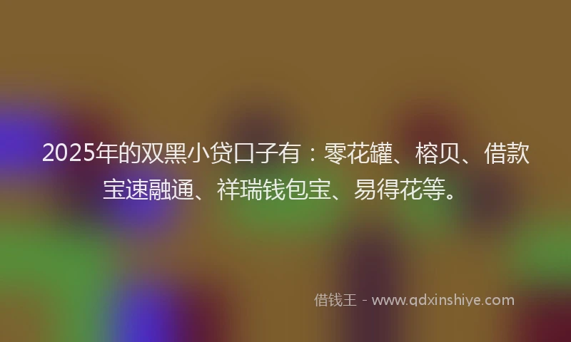 2025年的双黑小贷口子有：零花罐、榕贝、借款宝速融通、祥瑞钱包宝、易得花等。