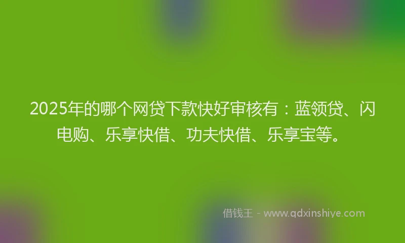 2025年的哪个网贷下款快好审核有：蓝领贷、闪电购、乐享快借、功夫快借、乐享宝等。