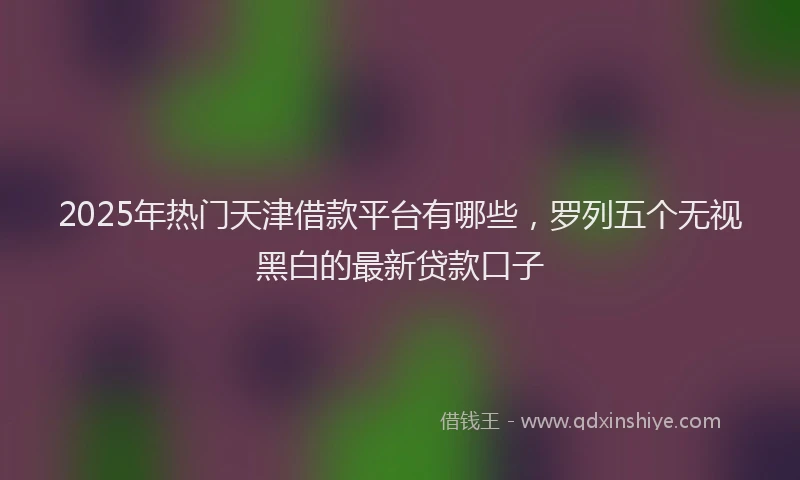 2025年热门天津借款平台有哪些，罗列五个无视黑白的最新贷款口子