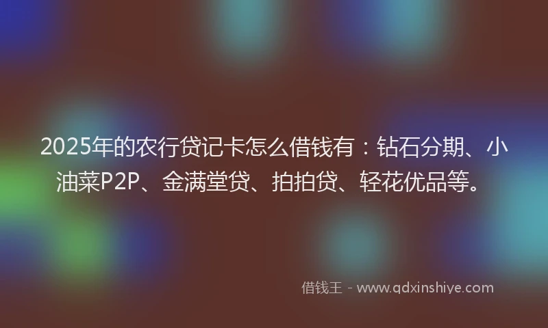 2025年的农行贷记卡怎么借钱有：钻石分期、小油菜P2P、金满堂贷、拍拍贷、轻花优品等。