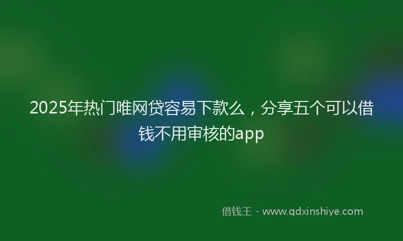 2025年热门唯网贷容易下款么，分享五个可以借钱不用审核的app