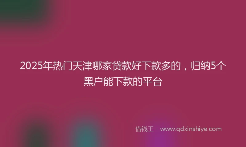 2025年热门天津哪家贷款好下款多的，归纳5个黑户能下款的平台