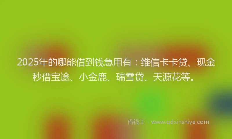 2025年的哪能借到钱急用有：维信卡卡贷、现金秒借宝途、小金鹿、瑞雪贷、天源花等。