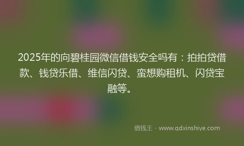 2025年的向碧桂园微信借钱安全吗有：拍拍贷借款、钱贷乐借、维信闪贷、蛮想购租机、闪贷宝融等。