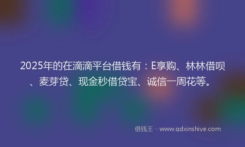 2025年的在滴滴平台借钱有：E享购、林林借呗、麦芽贷、现金秒借贷宝、诚信一周花等。