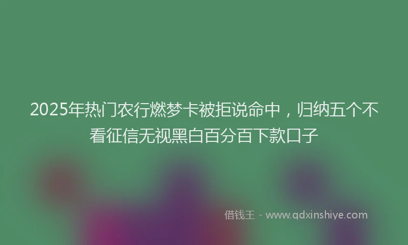 2025年热门农行燃梦卡被拒说命中，归纳五个不看征信无视黑白百分百下款口子