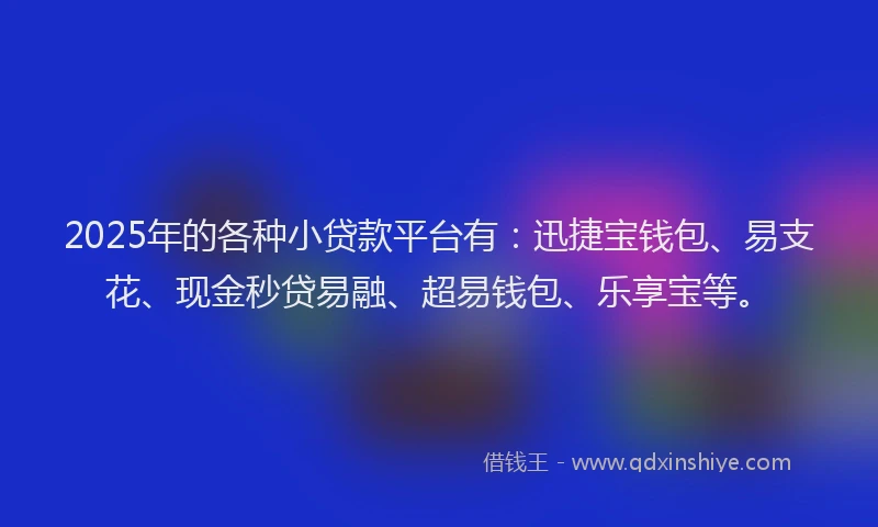 2025年的各种小贷款平台有：迅捷宝钱包、易支花、现金秒贷易融、超易钱包、乐享宝等。