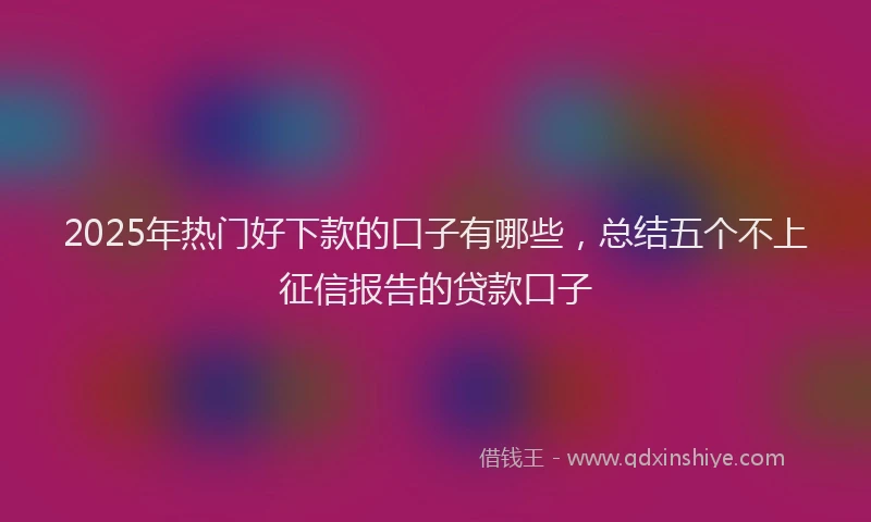 2025年热门好下款的口子有哪些，总结五个不上征信报告的贷款口子