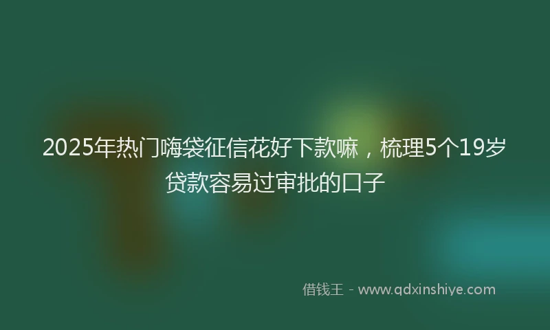 2025年热门嗨袋征信花好下款嘛，梳理5个19岁贷款容易过审批的口子