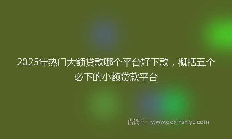 2025年热门大额贷款哪个平台好下款，概括五个必下的小额贷款平台