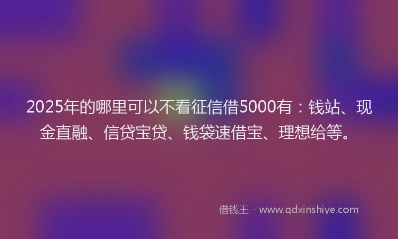 2025年的哪里可以不看征信借5000有：钱站、现金直融、信贷宝贷、钱袋速借宝、理想给等。