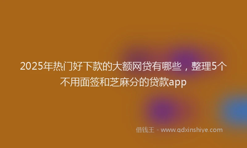 2025年热门好下款的大额网贷有哪些，整理5个不用面签和芝麻分的贷款app