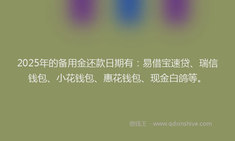 2025年的备用金还款日期有:易借宝速贷、瑞信钱包、小花钱包、惠花钱包、现金白鸽等。