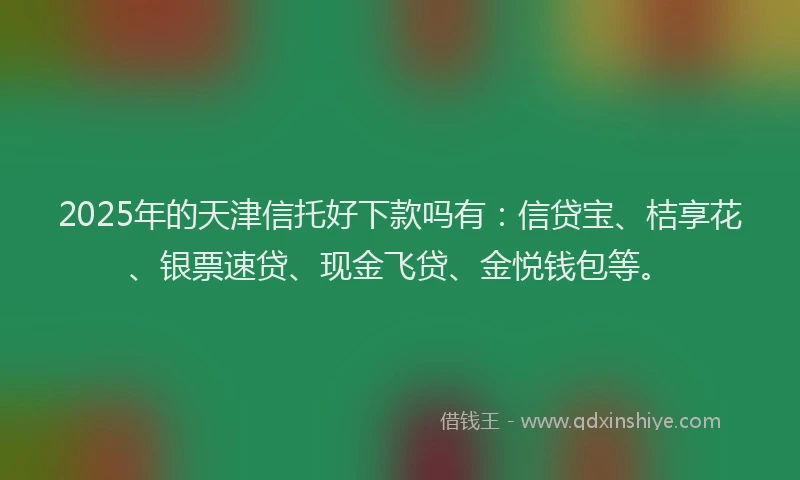 2025年的天津信托好下款吗有：信贷宝、桔享花、银票速贷、现金飞贷、金悦钱包等。