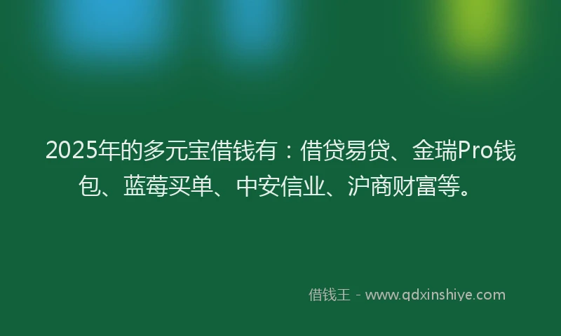 2025年的多元宝借钱有：借贷易贷、金瑞Pro钱包、蓝莓买单、中安信业、沪商财富等。