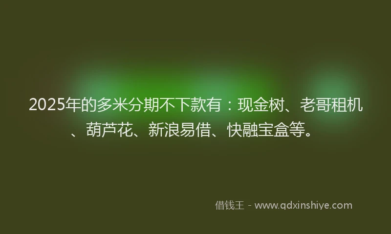 2025年的多米分期不下款有：现金树、老哥租机、葫芦花、新浪易借、快融宝盒等。