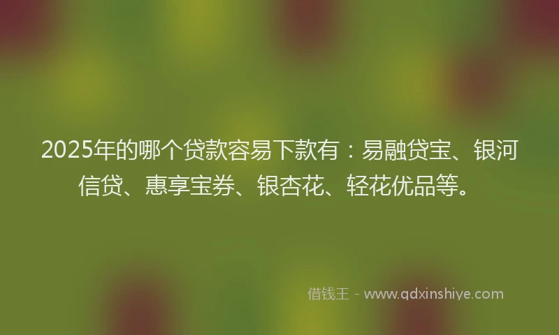 2025年的哪个贷款容易下款有：易融贷宝、银河信贷、惠享宝券、银杏花、轻花优品等。