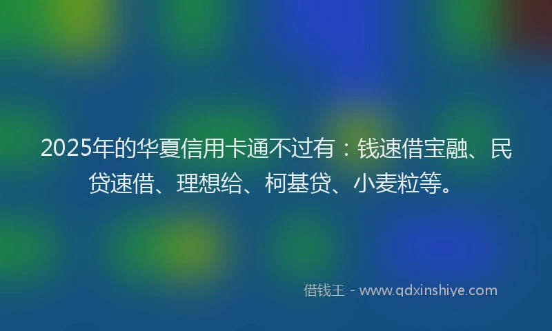 2025年的华夏信用卡通不过有：钱速借宝融、民贷速借、理想给、柯基贷、小麦粒等。