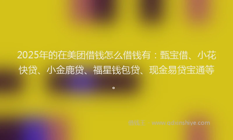 2025年的在美团借钱怎么借钱有：甄宝借、小花快贷、小金鹿贷、福星钱包贷、现金易贷宝通等。