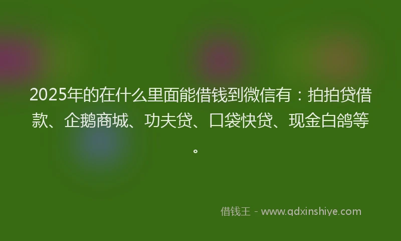 2025年的在什么里面能借钱到微信有：拍拍贷借款、企鹅商城、功夫贷、口袋快贷、现金白鸽等。