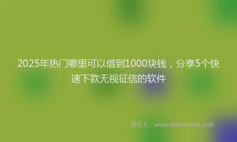 2025年热门哪里可以借到1000块钱，分享5个快速下款无视征信的软件