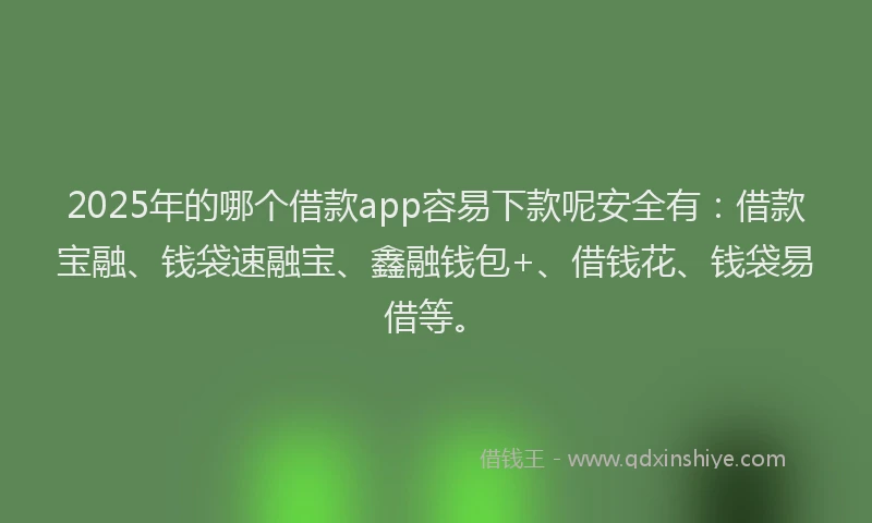 2025年的哪个借款app容易下款呢安全有：借款宝融、钱袋速融宝、鑫融钱包+、借钱花、钱袋易借等。