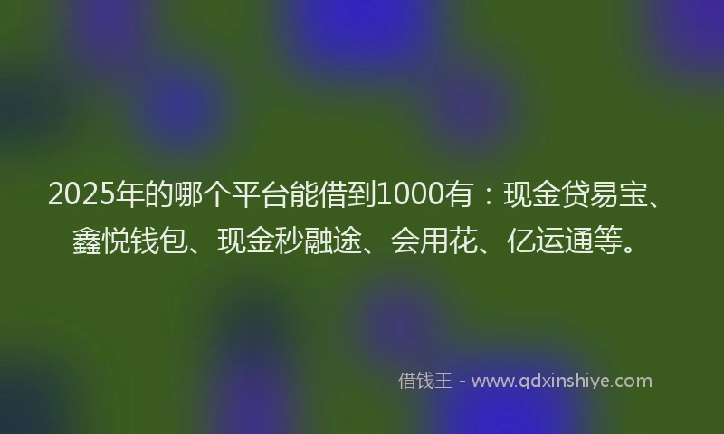 2025年的哪个平台能借到1000有：现金贷易宝、鑫悦钱包、现金秒融途、会用花、亿运通等。