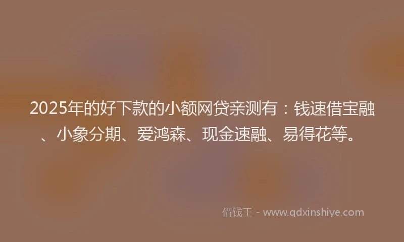 2025年的好下款的小额网贷亲测有：钱速借宝融、小象分期、爱鸿森、现金速融、易得花等。