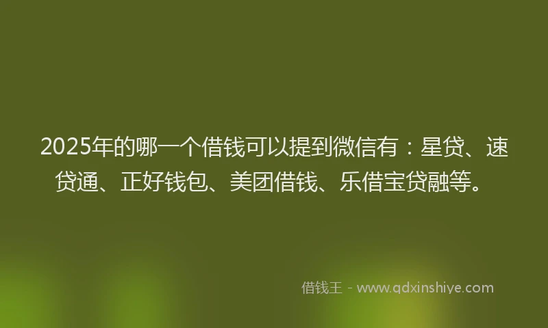 2025年的哪一个借钱可以提到微信有：星贷、速贷通、正好钱包、美团借钱、乐借宝贷融等。