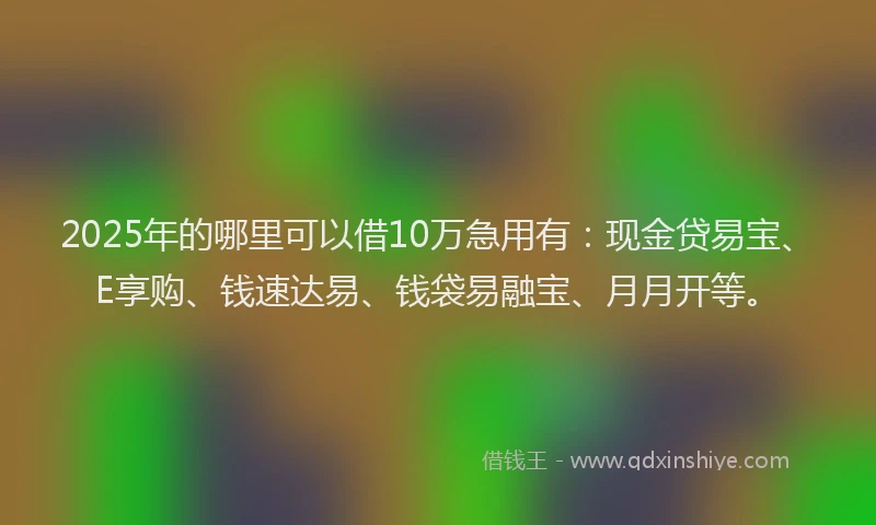 2025年的哪里可以借10万急用有：现金贷易宝、E享购、钱速达易、钱袋易融宝、月月开等。