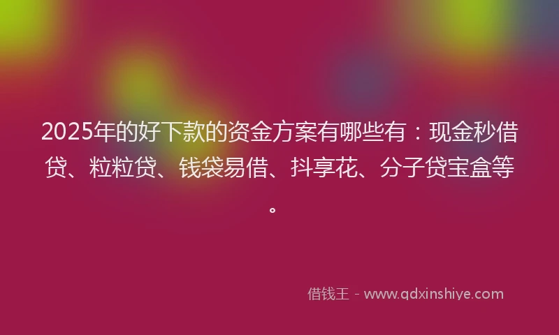 2025年的好下款的资金方案有哪些有：现金秒借贷、粒粒贷、钱袋易借、抖享花、分子贷宝盒等。