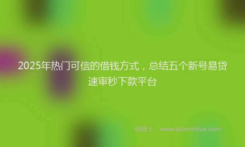 2025年热门可信的借钱方式，总结五个新号易贷速审秒下款平台