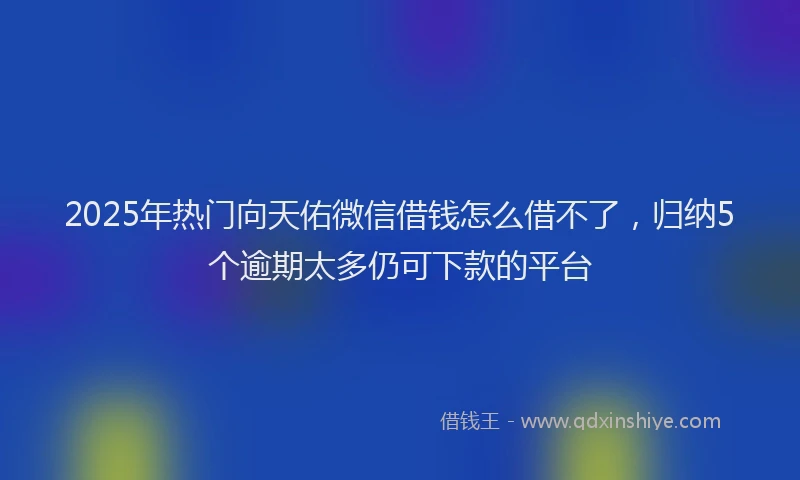 2025年热门向天佑微信借钱怎么借不了，归纳5个逾期太多仍可下款的平台