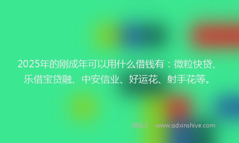 2025年的刚成年可以用什么借钱有：微粒快贷、乐借宝贷融、中安信业、好运花、射手花等。