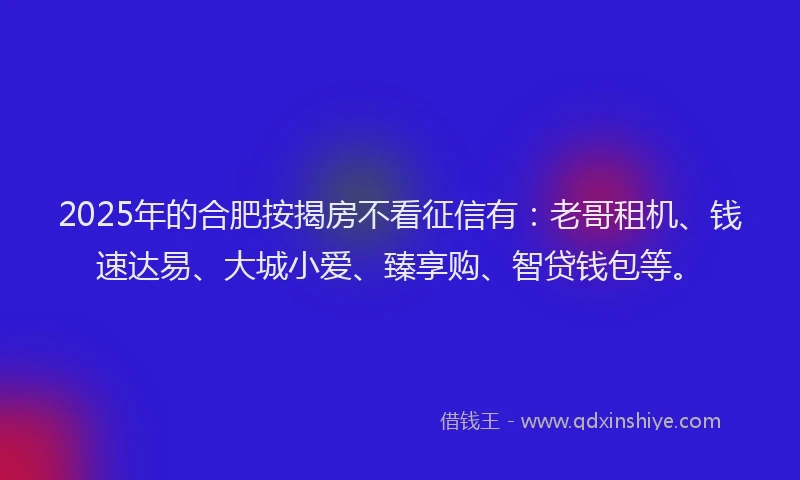 2025年的合肥按揭房不看征信有：老哥租机、钱速达易、大城小爱、臻享购、智贷钱包等。