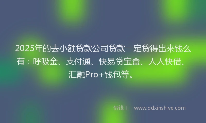 2025年的去小额贷款公司贷款一定贷得出来钱么有：呼吸金、支付通、快易贷宝盒、人人快借、汇融Pro+钱包等。