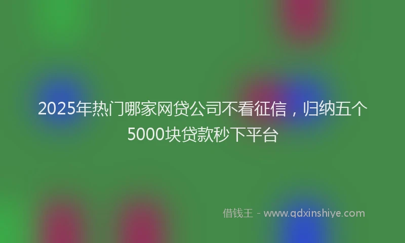2025年热门哪家网贷公司不看征信，归纳五个5000块贷款秒下平台
